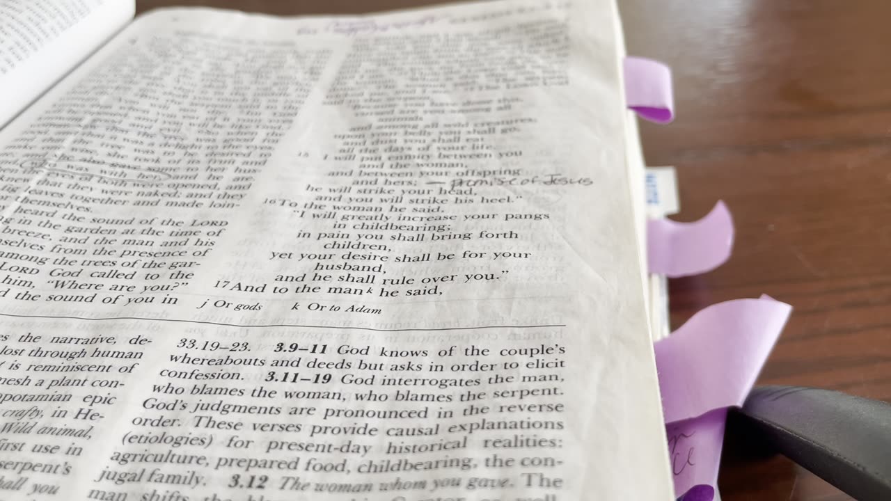 Twisting God's words