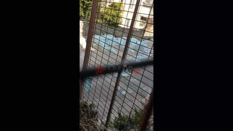 ΜΠΑΖΑ ΣΤΑ ΑΡΧΑΙΑ