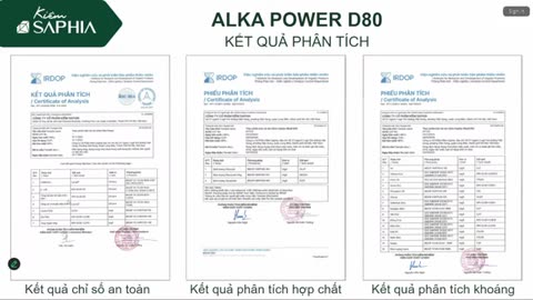 ALKA POWER D80 NĂNG LƯỢNG D80 - ĐIỀU BIẾN HỆ MIỄN DỊCH