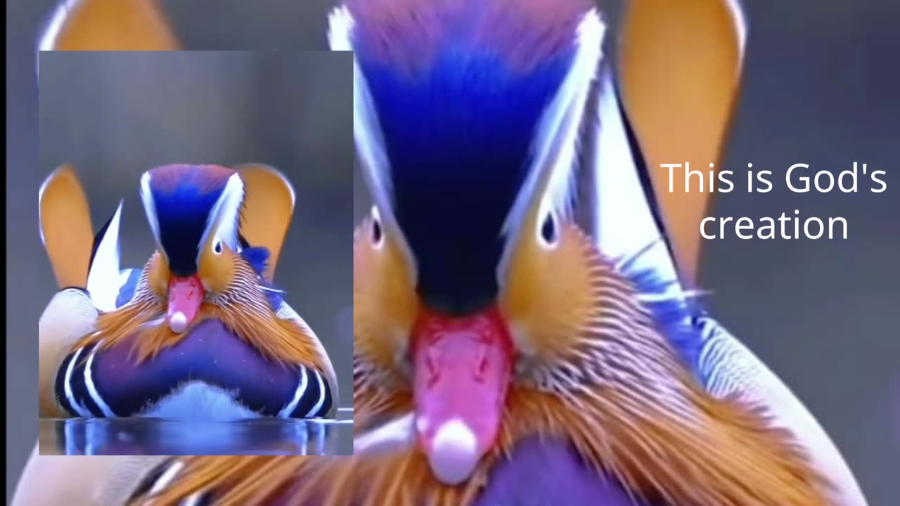 This is God's creation