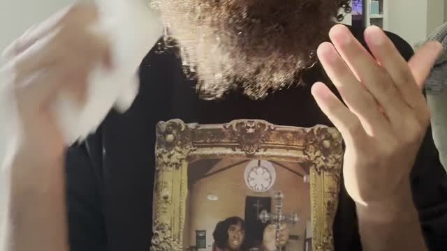 Rock Mercury Plant based chicken taster