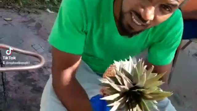 How to peel a pineapple