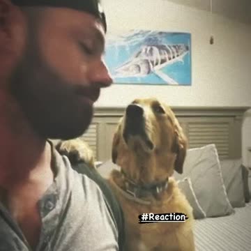 Man records dog’s reaction after kissing him on the head