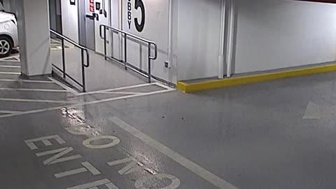 6080RHOBG3G305ANorthLobbyEntry_2021-01-06_16h00min03s390ms.mp4