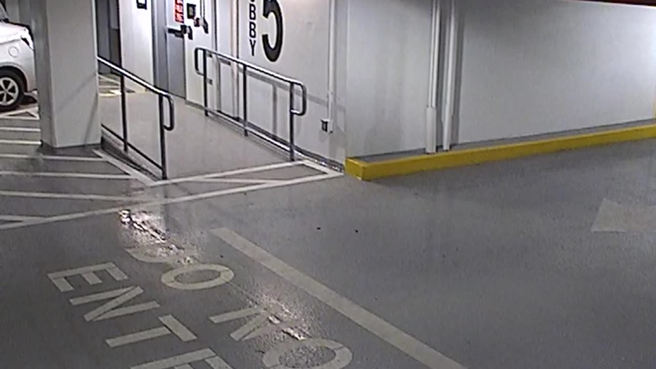 6080RHOBG3G305ANorthLobbyEntry_2021-01-06_16h00min03s390ms.mp4