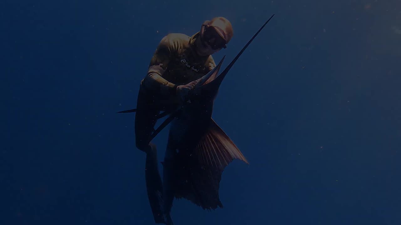 How to Aim For Fishing In Sea Spanyol