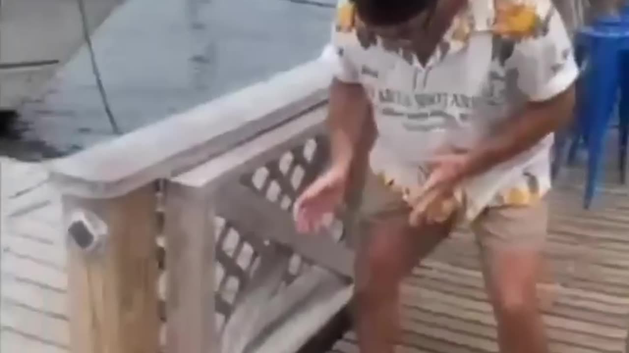 Funny Reels complication