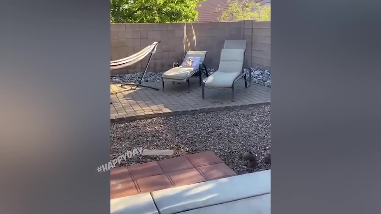 Я РЖАЛ ЦЕЛЫЙ ЧАС