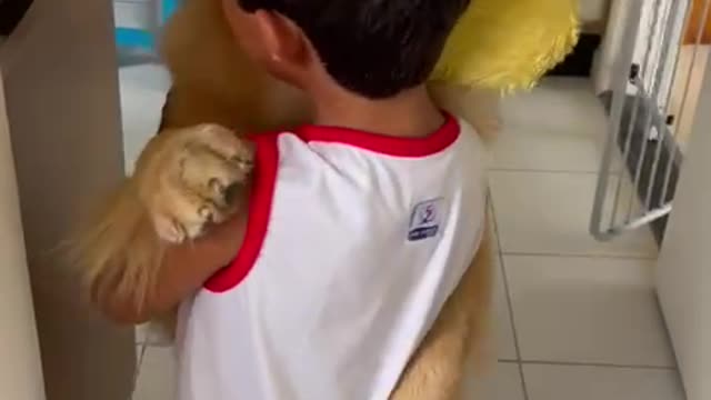 Little boy coming home from school. Have a nice hug from your great friend