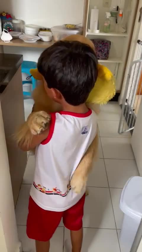 Little boy coming home from school. Have a nice hug from your great friend