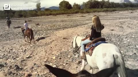 Horseback riding North Argentina HD