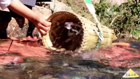 Harvesting and Preparing Sweet Potatoes in China