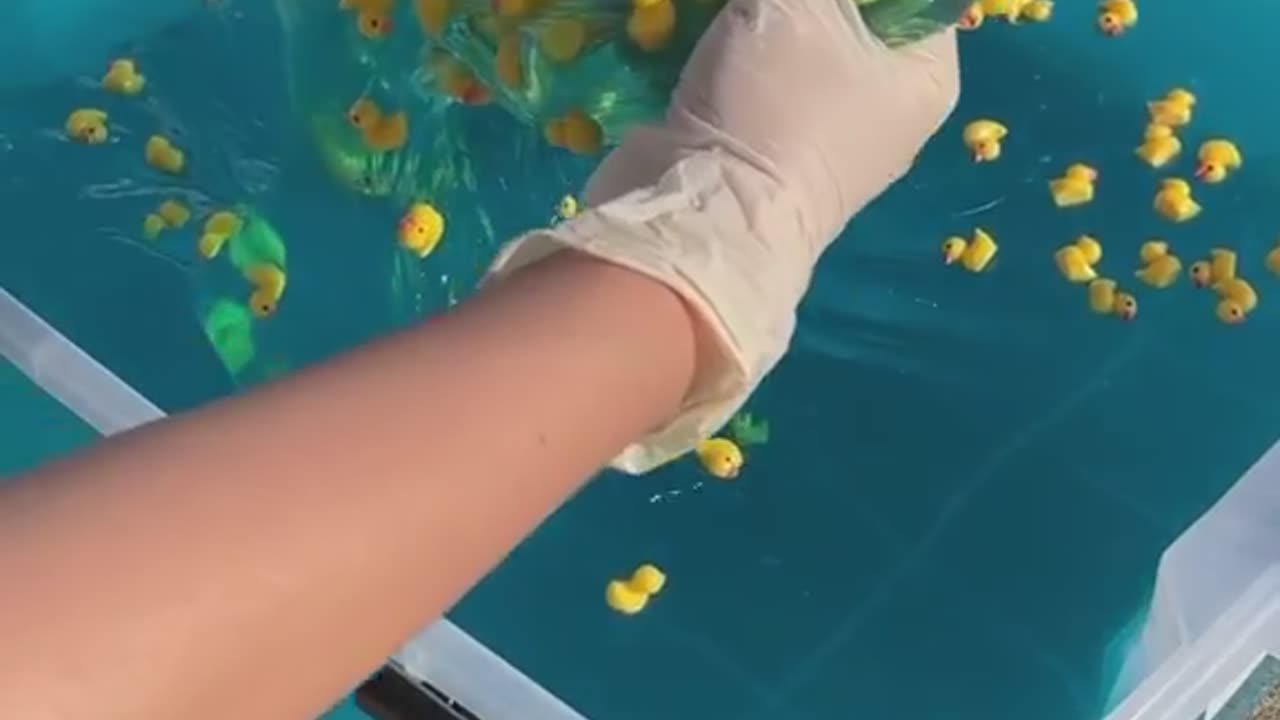 Mixing duck into the jelly