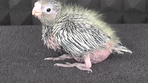 Good 😊👍 the sky tonight I have a great day 52 years ago