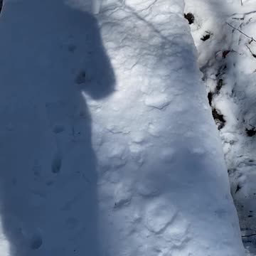 WOULD YOU HAVE KEPT WALKING? #explore