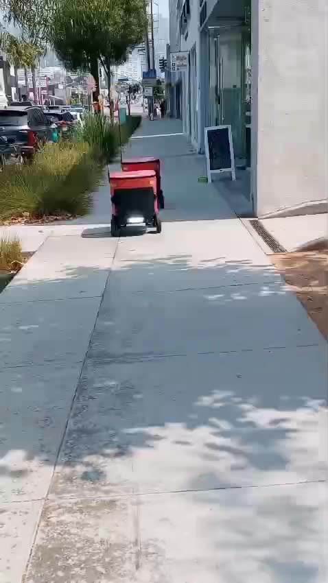 Barely surviving being lynched by Trump/MAGA supporters.