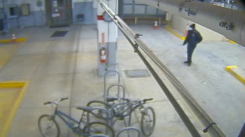 3134RHOBG2GarageEntrance_2021-01-05_06h40min00s890ms.mp4