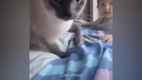 #funny video