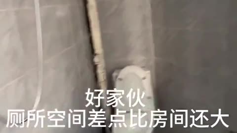 WEF Schwab Says Chinese System is Good System a Role Model. Your Future?