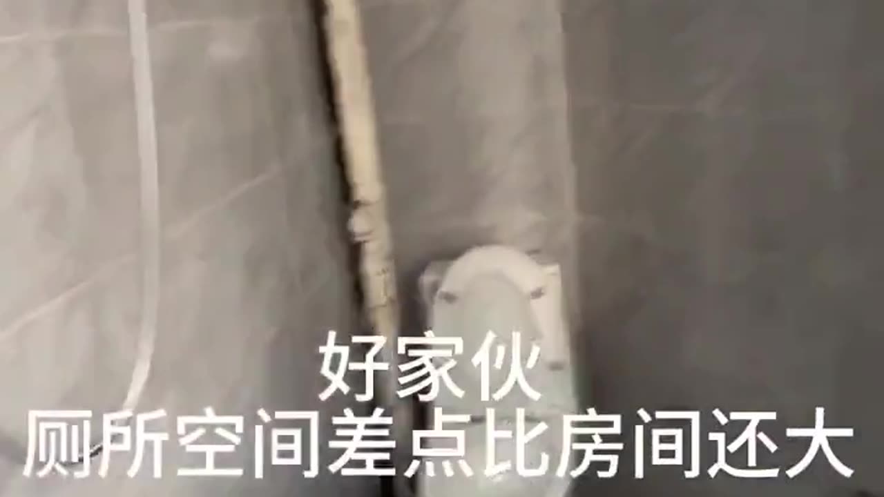 WEF Schwab Says Chinese System is Good System a Role Model. Your Future?