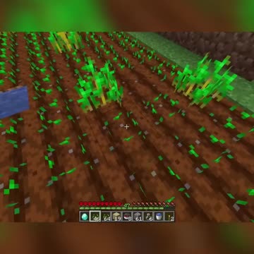 The Epic Quest for Contraband: Join the Adventure!