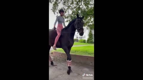 Horse TikToks That Went Viral! #5