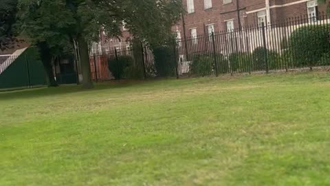 Sakina having fun in Romford park London