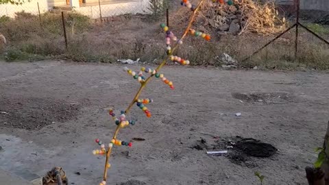 Craft tree for primary school students