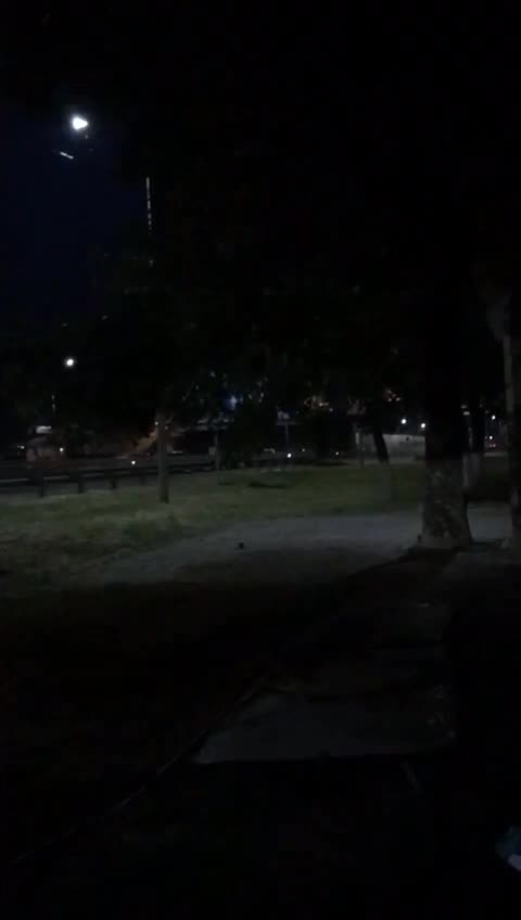 Shooting in Rostov oblast