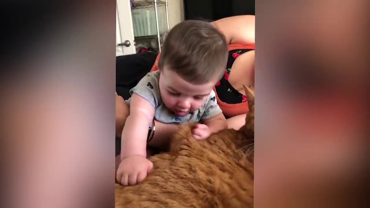 Cutest Babies Play With Dogs And Cats Compilation