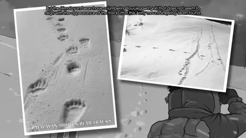 The Indian Army and the Yeti | Centuries of Encounters