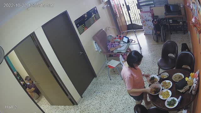 hallback day n night 20221022