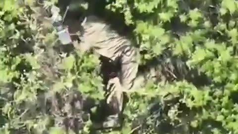 Ukrainian Drone Bomber Attacks a Wounded Russian Trying to Surrender