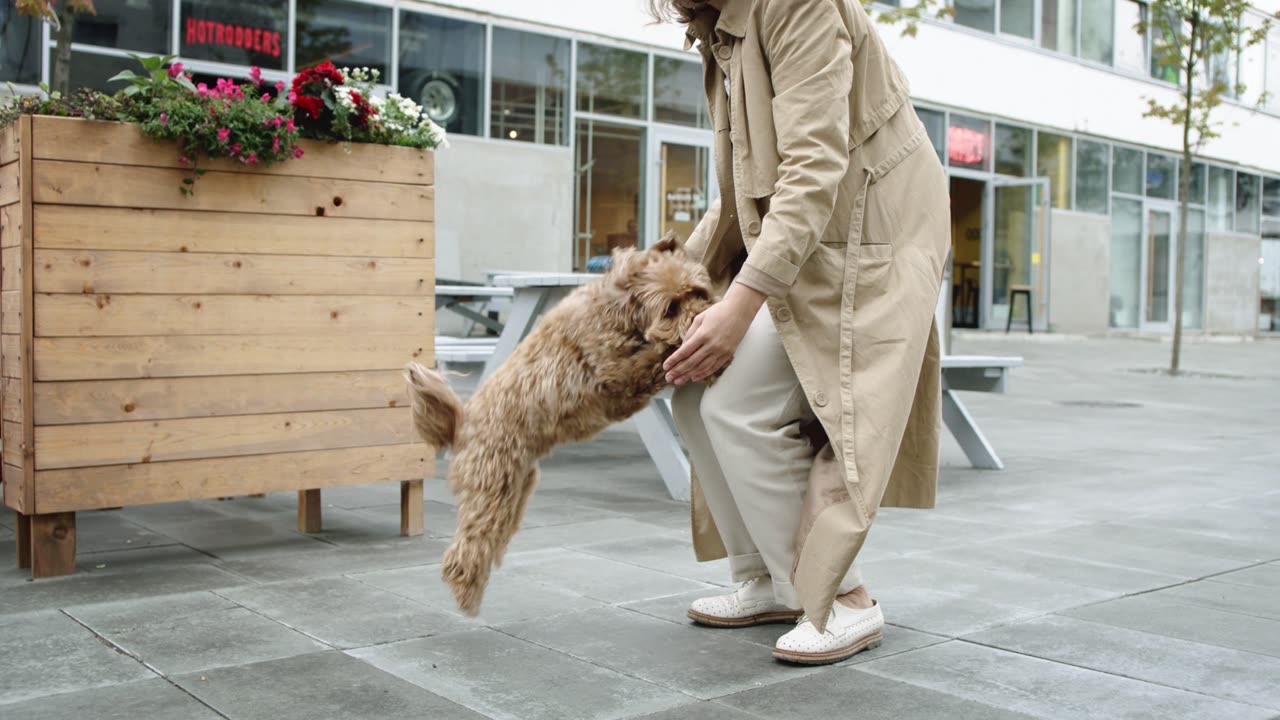 Jumping towards her master😍🐕