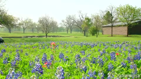 Enjoy these video? Texas best travel top 10 places.