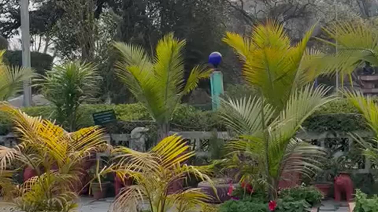 Greenery