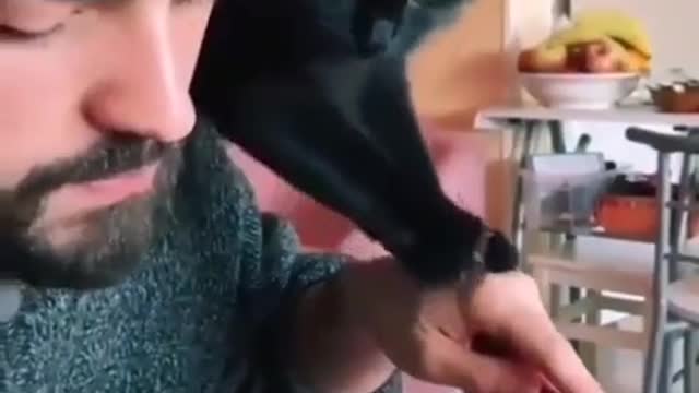 Funny Cats 😹