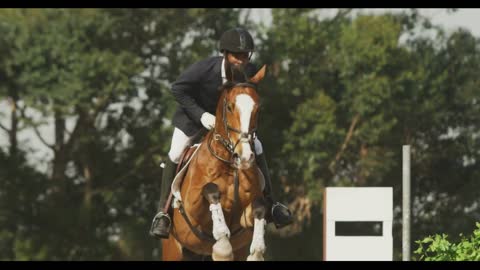 African American man jumping an obstacle with his Dressage horse