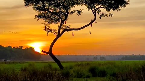 Mother Nature doesn’t need a filter.