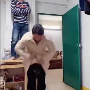 Best Funny Videos | Chinese Funny Clips