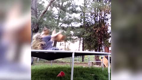 FUNNNNNY animal and pet FAILS