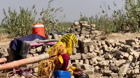 Food Baggers Pakistani