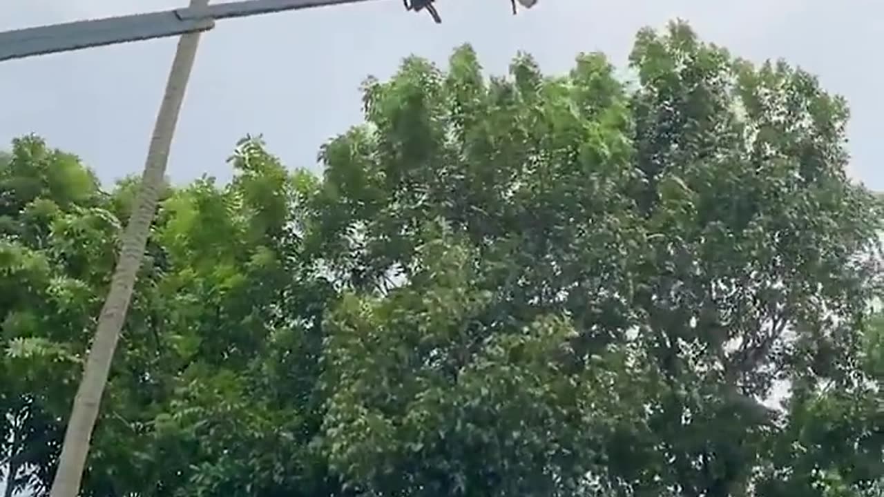 360 degree swing!
