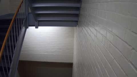 3869FHOB01Stair6_2021-01-05_02h40min00s127ms.mp4