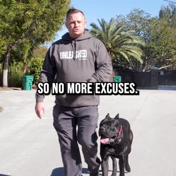 NO MORE EXCUSES, Get Your Dog Trained!
