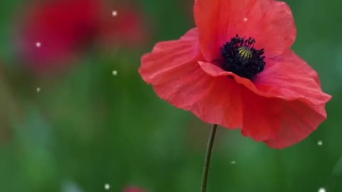 English best motivational quotes inspirational quotes