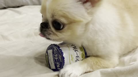 Pino Doesn't Want to Part with Favorite Yogurt