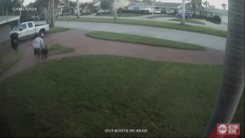 Video captures dog attack in St.