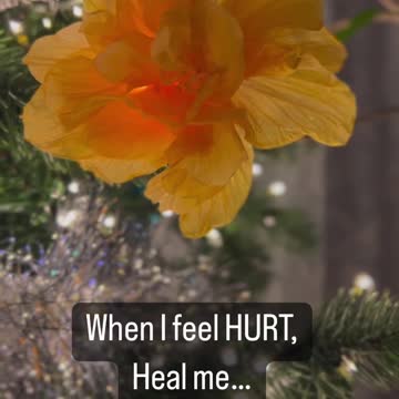 Dear God When I FEEL Lost, guide me💫