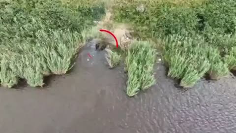 Russian Leaves His Buddy to Die